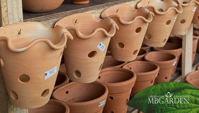 Dossiê: Vasos de Cerâmica